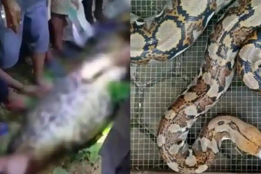 Câu Chuyện Đau Lòng Về Sự Mất Tích Của Người Đàn Ông Ở Indonesia
