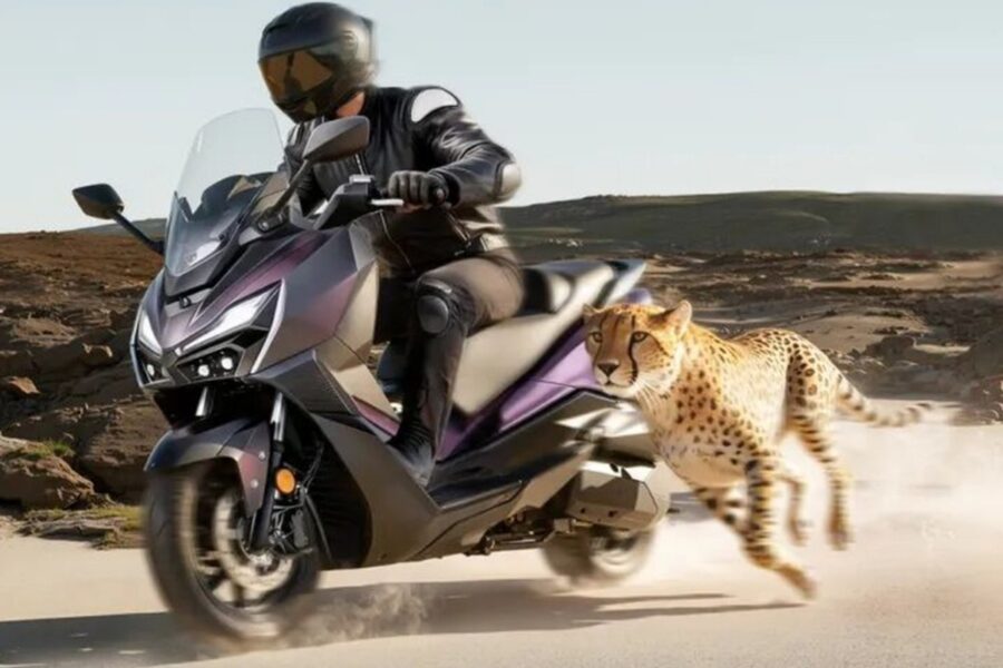 Khám Phá Mẫu Xe Tay Ga SYM JEPARDO 300: Tiềm Năng Đe Dọa Honda SH350i